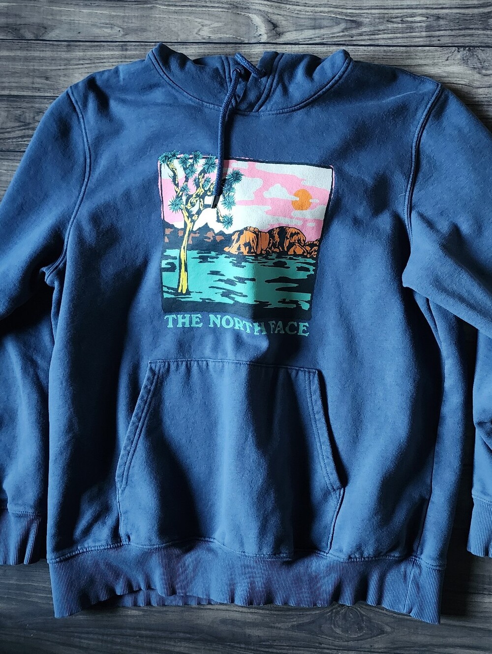 The North Face Blue Graphic Hoodie with Sunset Scene